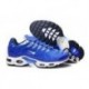 Hommes Nike Air Max TN Chaussures Bleu Blanc